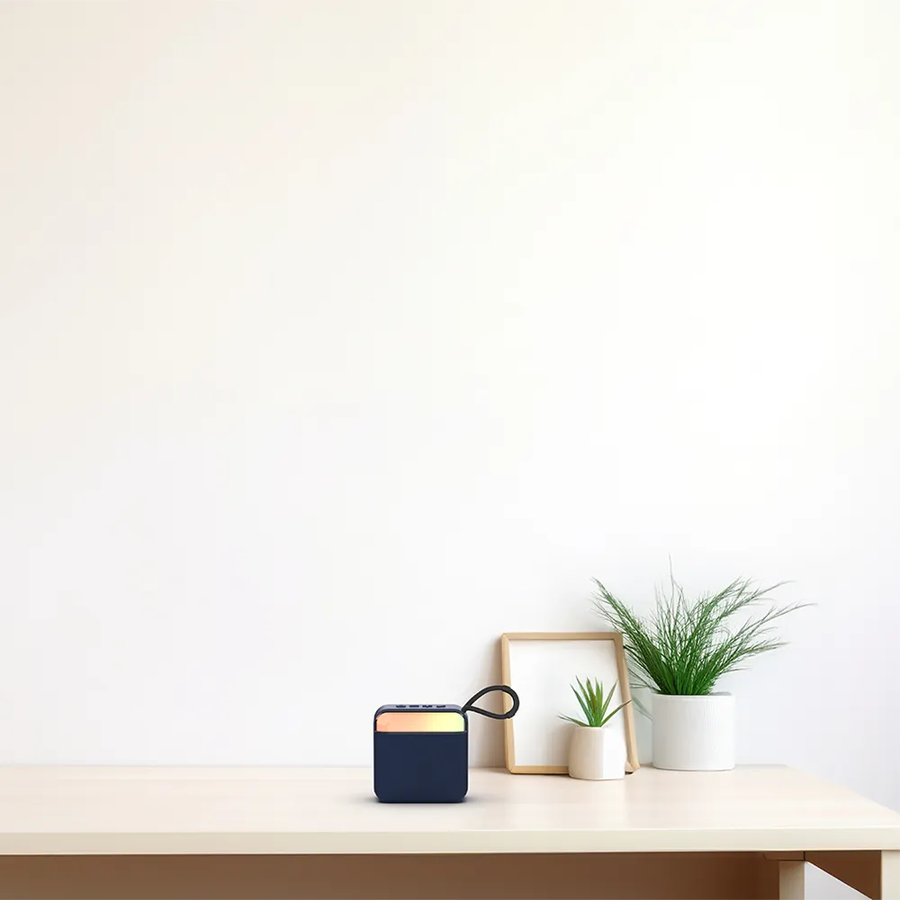 AIWA Portable Wireless Speaker