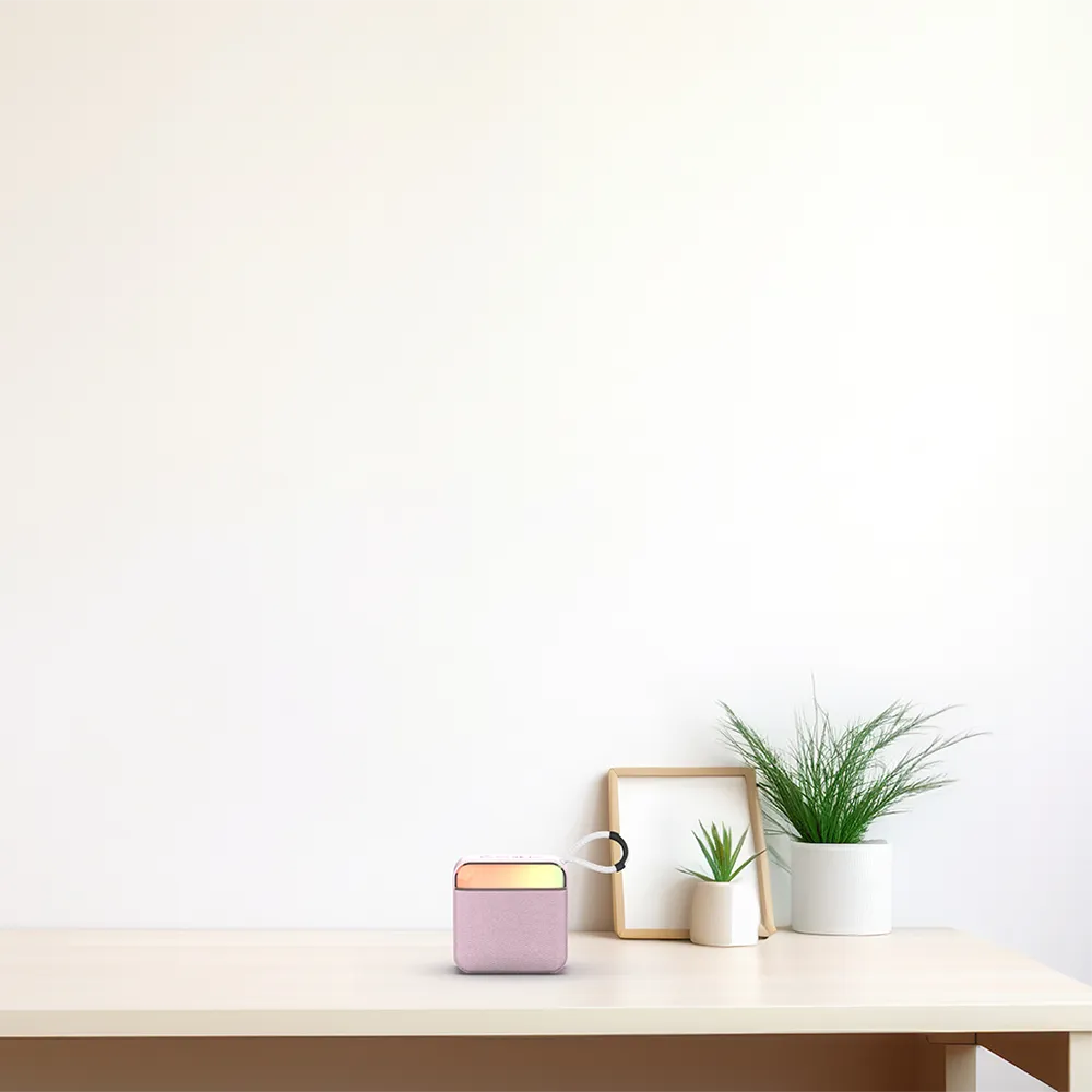 AIWA Portable Wireless Speaker