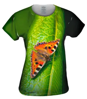 Dazzling Spotted Butterfly