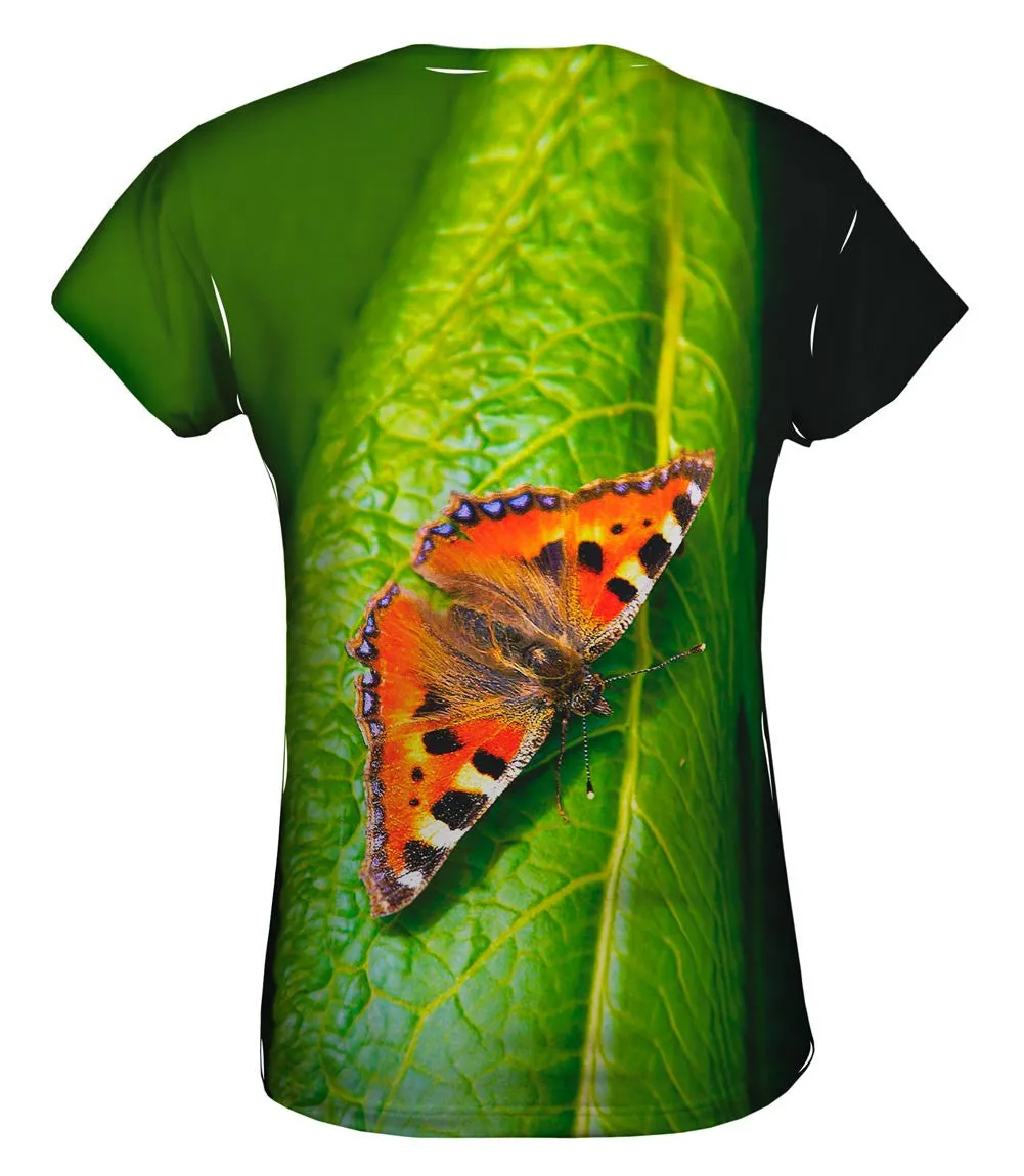 Dazzling Spotted Butterfly