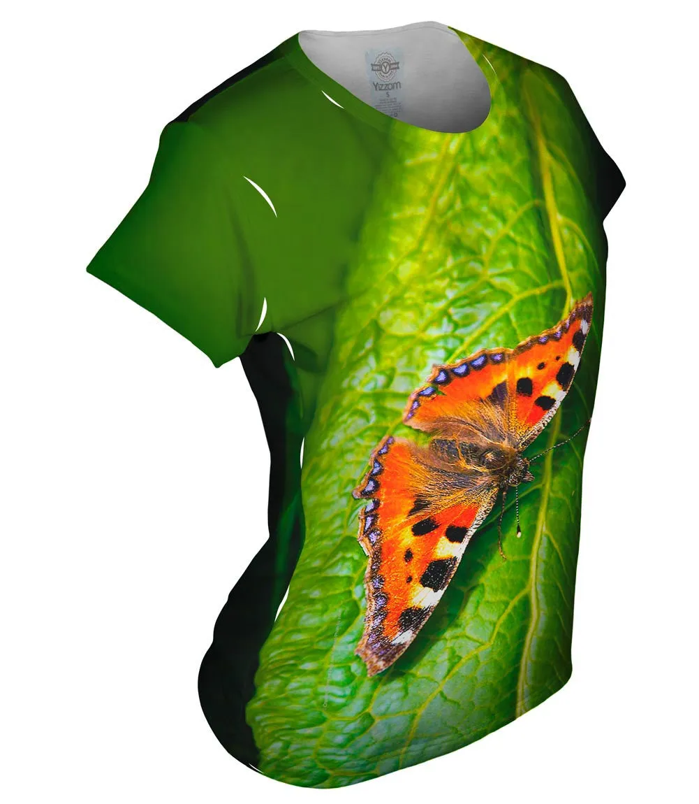 Dazzling Spotted Butterfly