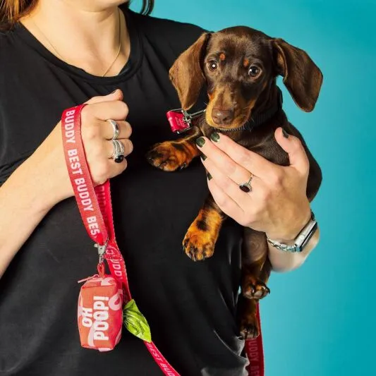 Dog Poop Bags Holder Messy Pup