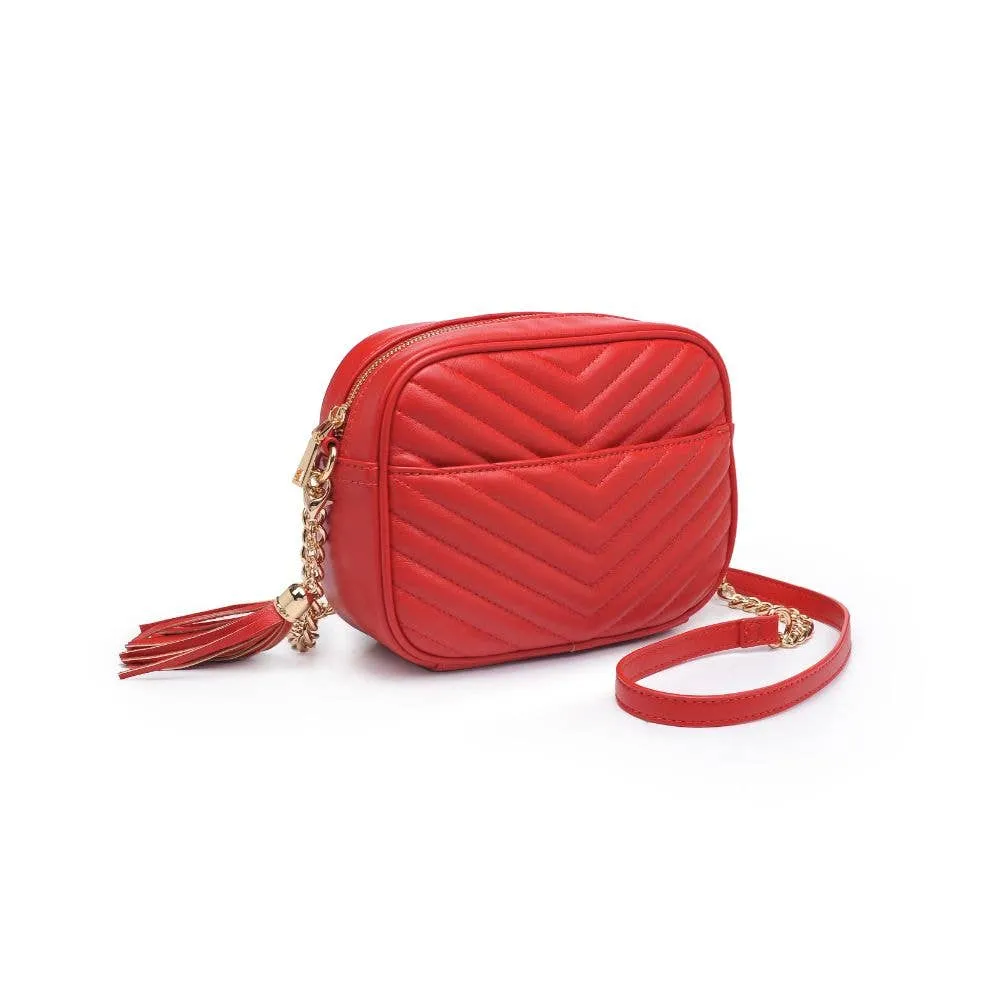 Elodie Chevron Camera Bag Crossbody