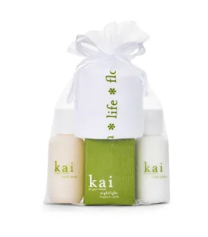 gift bag