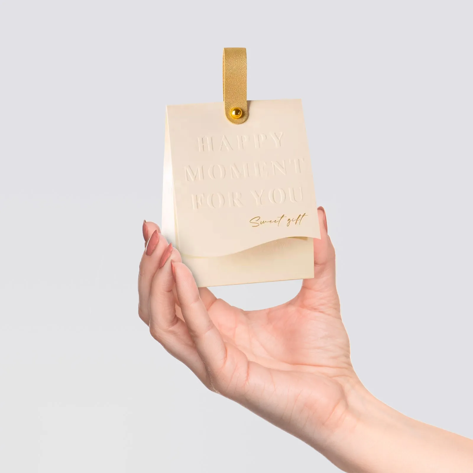Hand Bag Gift Box, Set of 10 Premium Hand Bag Gift Box