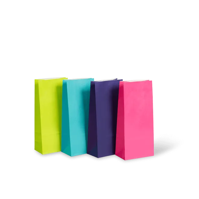 Mixed Colours Paper Gift Bag