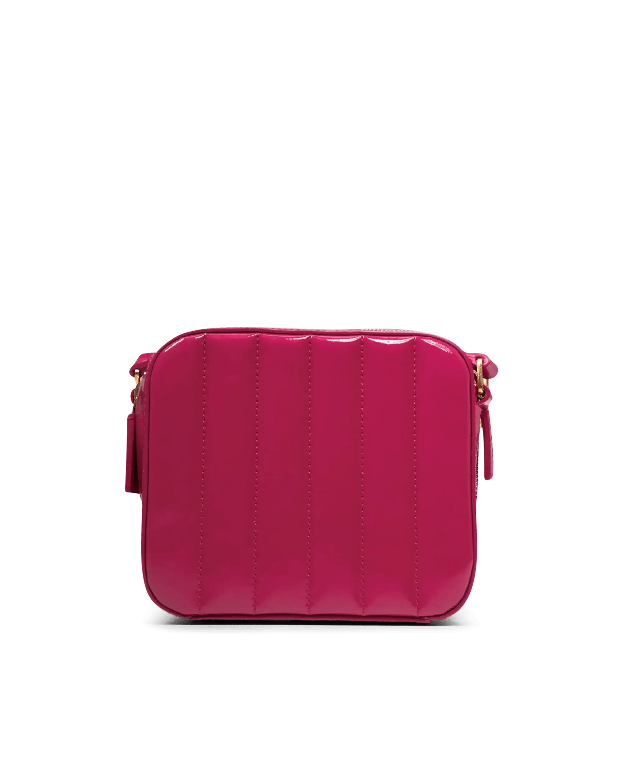 Monogram Camera Bag
