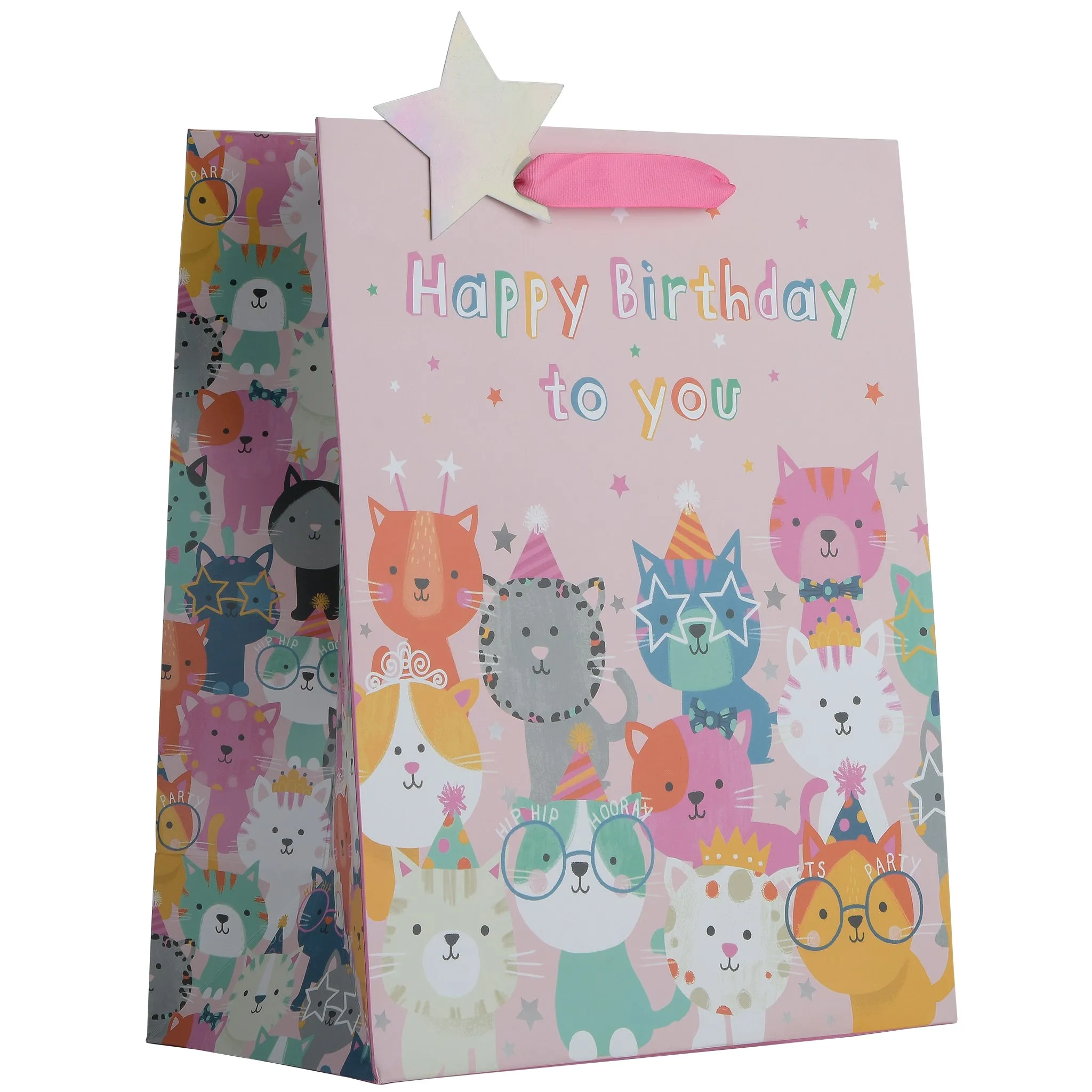 Partisan Cat Birthday Party Gift Bag L/XL