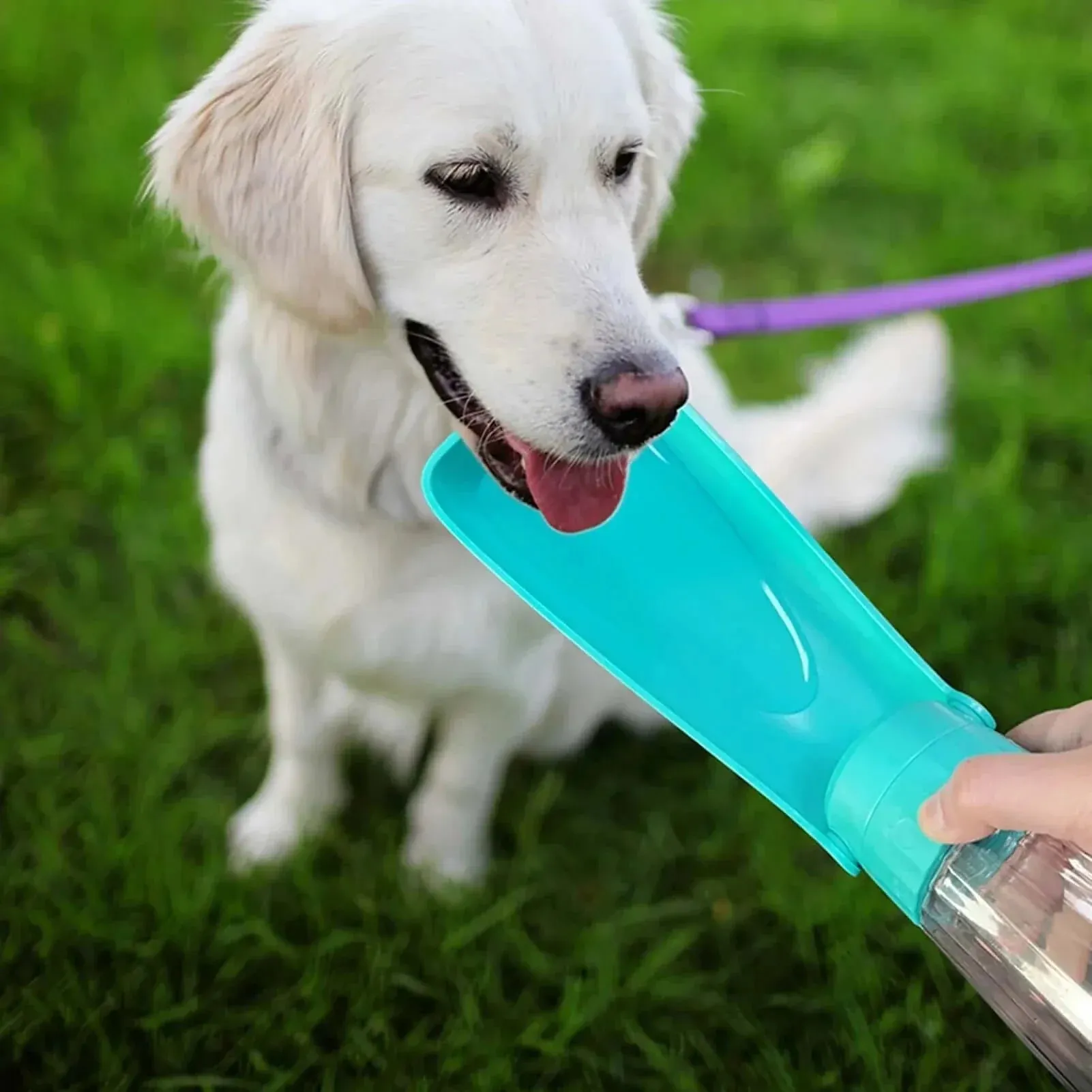 Portable Pet Water Bottle – Leakproof Dog & Cat | Foldable Outdoor Bow