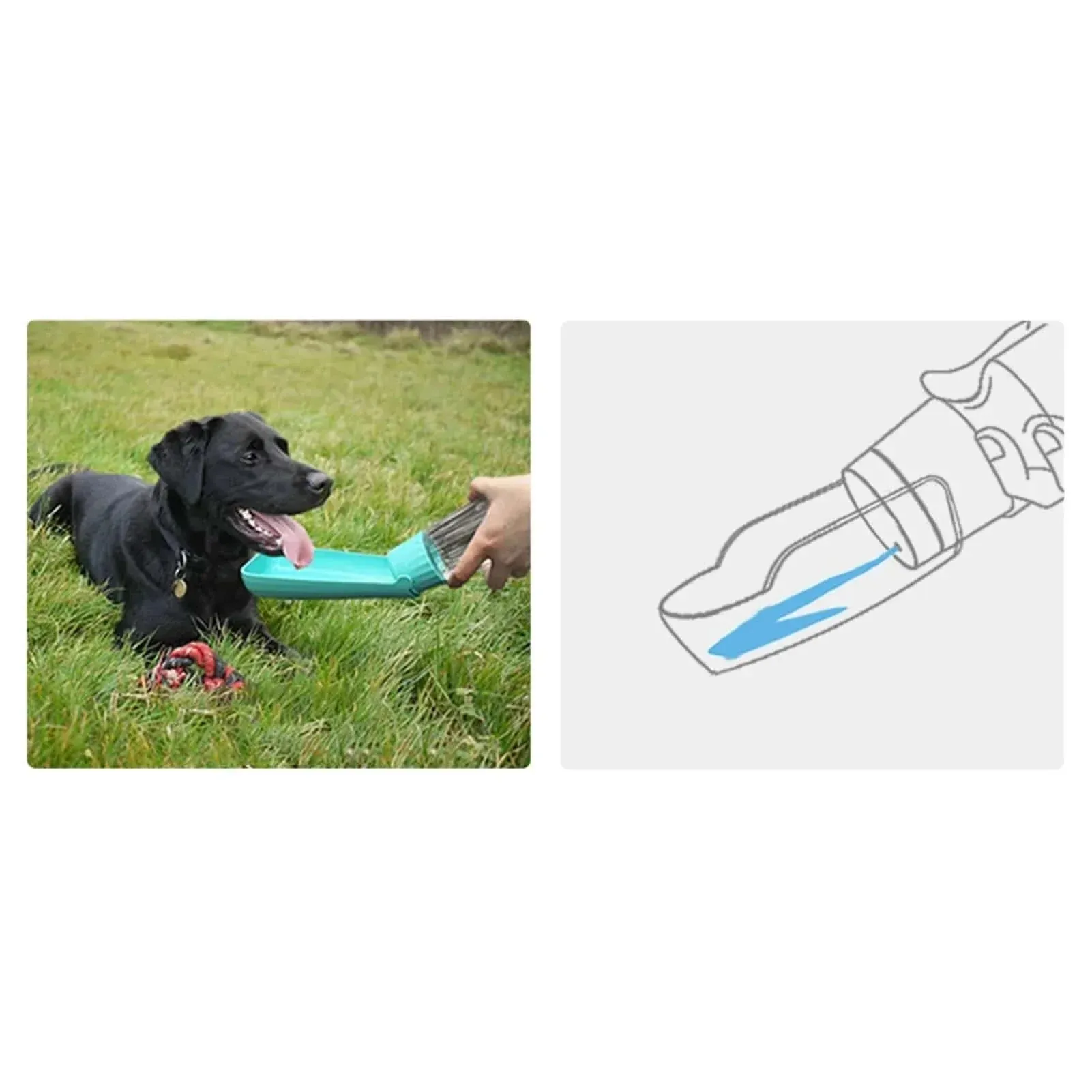 Portable Pet Water Bottle – Leakproof Dog & Cat | Foldable Outdoor Bow