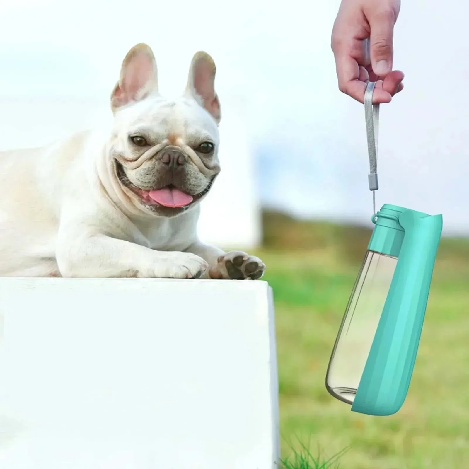 Portable Pet Water Bottle – Leakproof Dog & Cat | Foldable Outdoor Bow