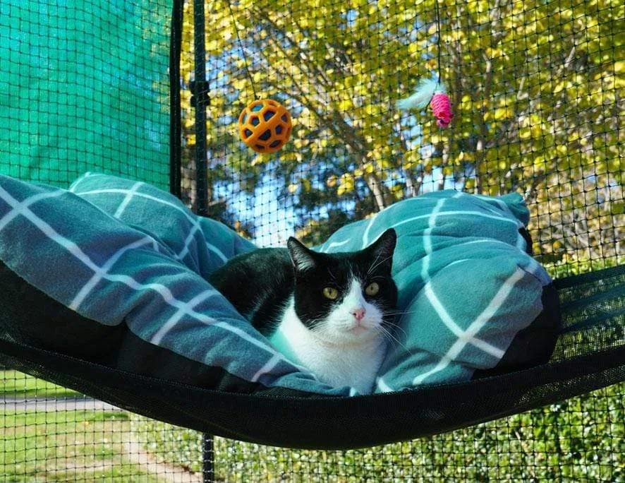 Premium Portable Cat Enclosure Double 3.6m