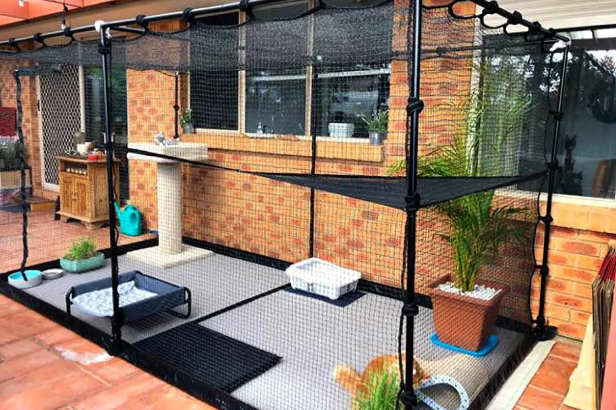 Premium Portable Cat Enclosure Double 3.6m