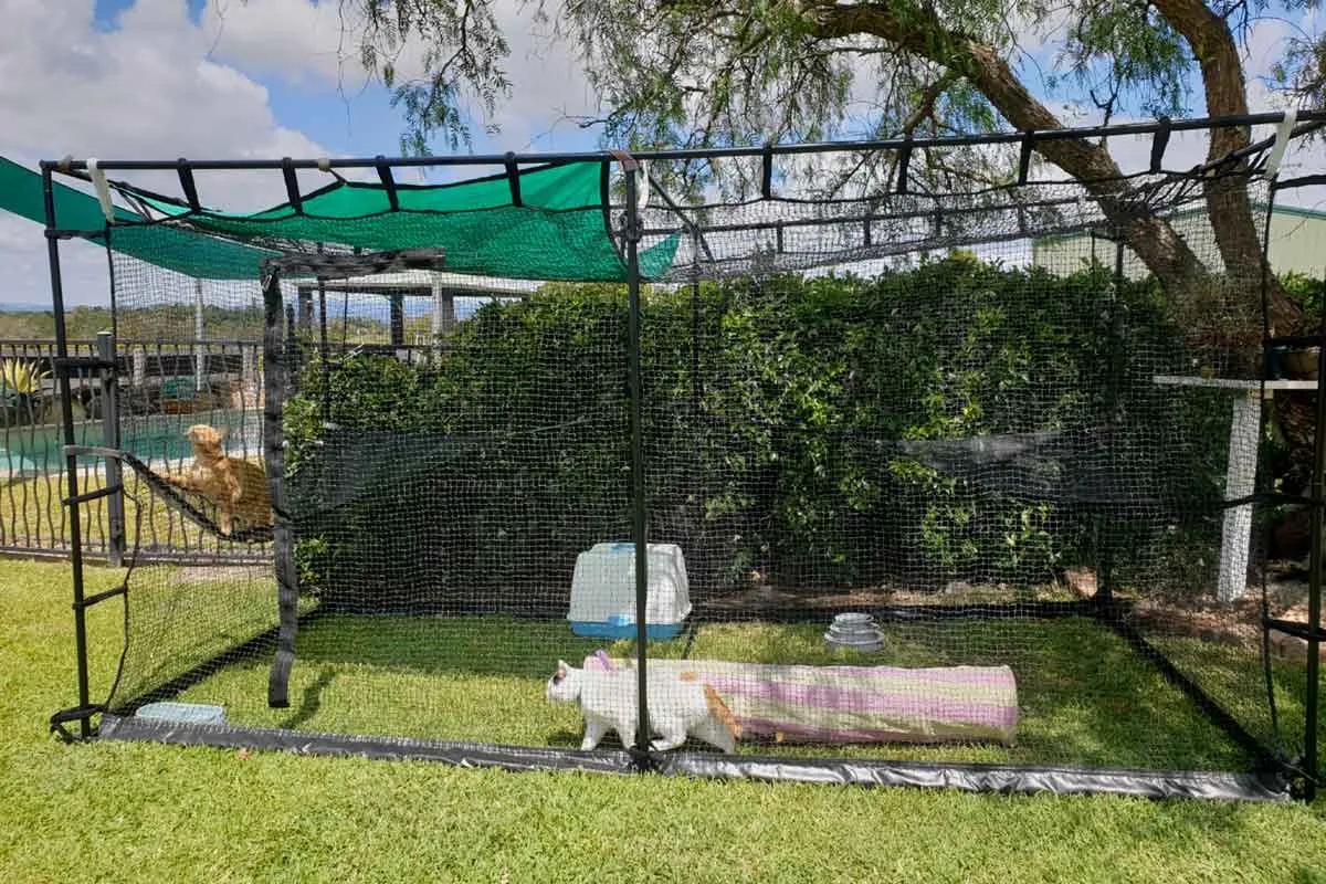 Premium Portable Cat Enclosure Double 3.6m
