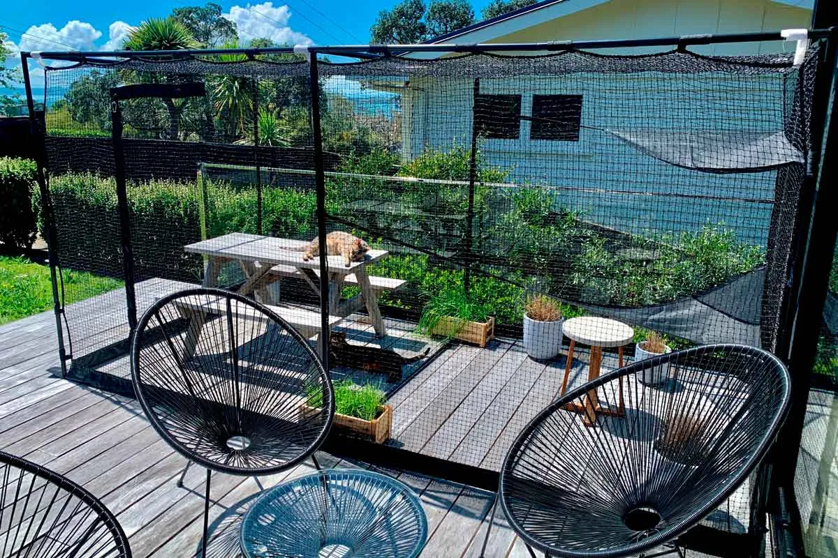 Premium Portable Cat Enclosure Double 3.6m
