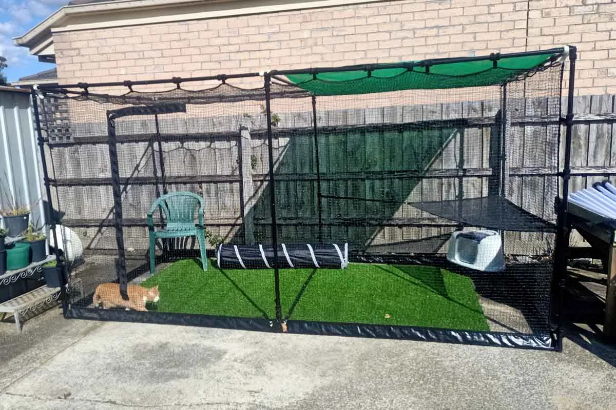 Premium Portable Cat Enclosure Double 3.6m