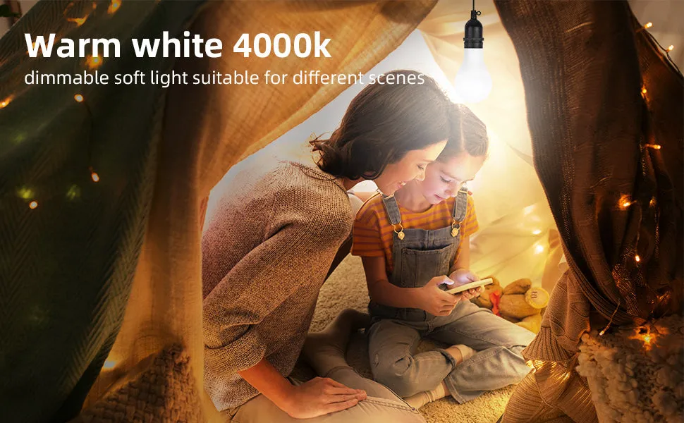 ROCKSOLAR LED Light Bulb DC 12V Portable Light