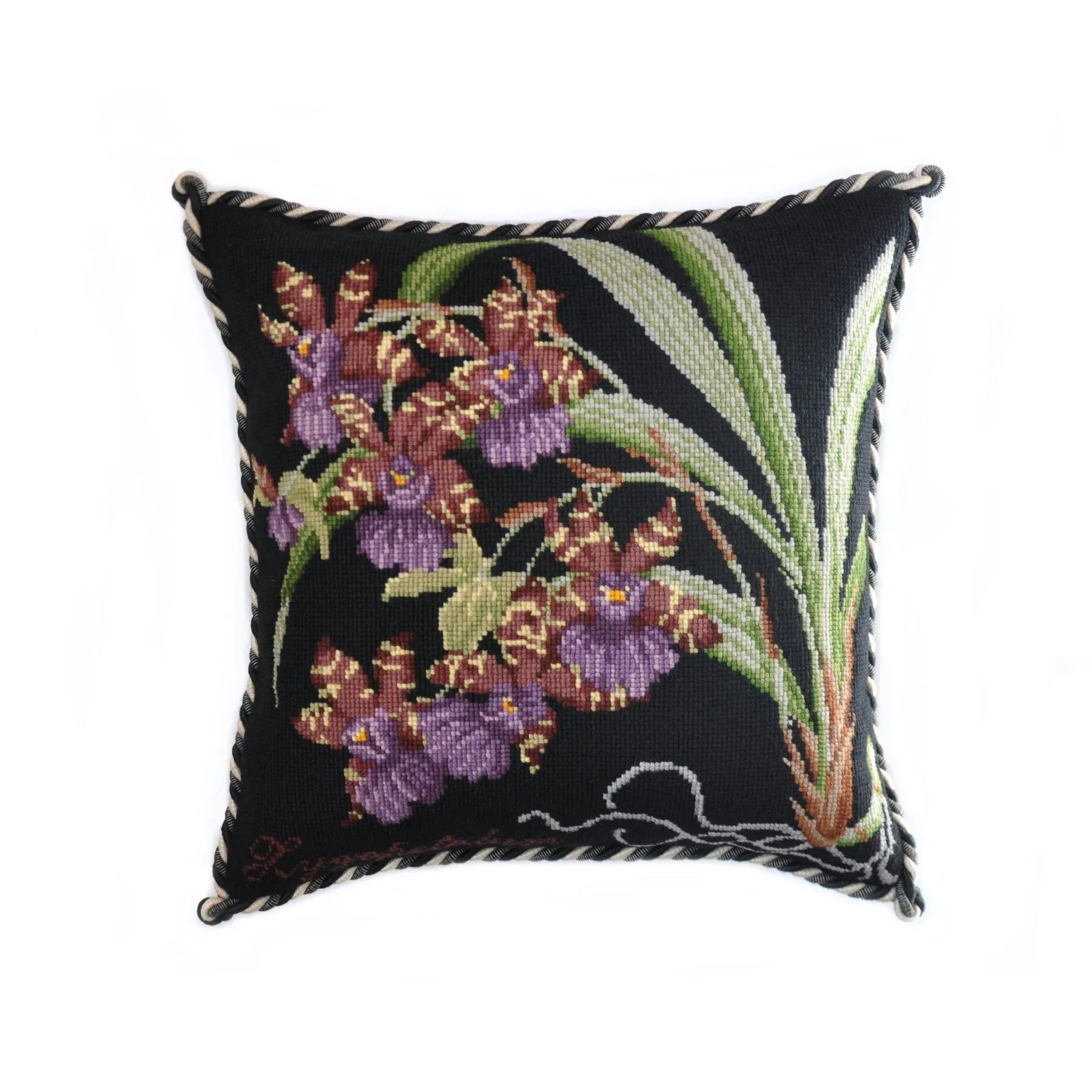 Zygopetalum (Ladybird Orchid)